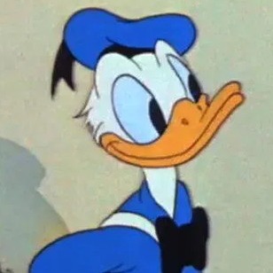 Photo de Monsieur Donald-Romuald DUCK