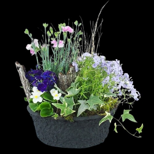 Photo de Test BLABLA