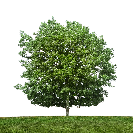 Photo de James POTTER