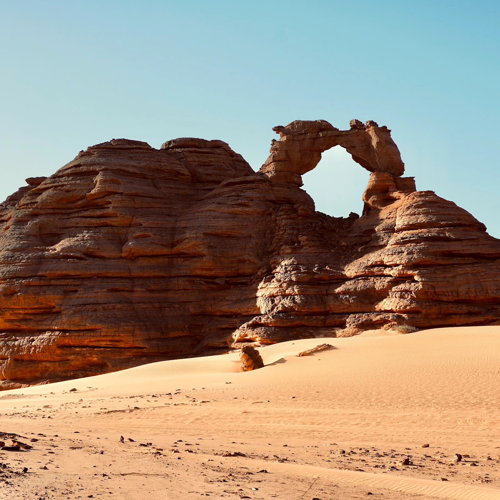 Photo de Jeanne MORIN